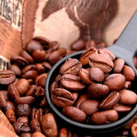 卡菲熊 蓝山风味 云南咖啡豆 中度/重度烘焙 500g