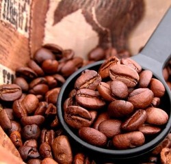 卡菲熊 蓝山风味 云南咖啡豆 中度/重度烘焙 500g