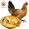 【松滋馆】农村散养土鸡2-2.5斤/只 两年黄油老母鸡三黄鸡松滋鸡走地鸡活鸡子现杀新鲜鸡肉整只 1只