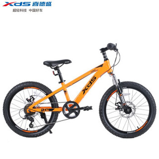 XDS 喜德盛 中国风 儿童自行车