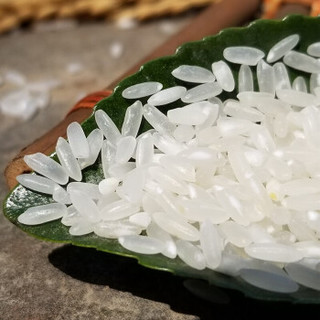 雪龙瑞斯 当季新米 五常大米 有机稻花香大米 东北大米 5kg