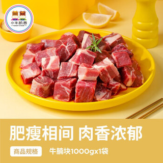 小牛凯西 精修调理牛腩肉 1000g