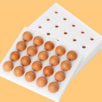 舌尖攻略 高谷物喂养 鸡蛋  40枚