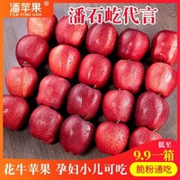 潘苹果甘肃天水花牛苹果国产蛇果孕妇可吃3斤
