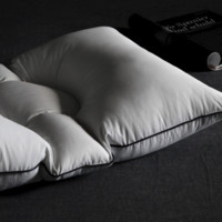 SIDANDA 诗丹娜  95%白鹅绒女性专用低睡枕