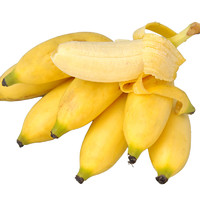 薯家上品 贵州小米蕉2.5斤 新鲜糯米蕉芭蕉现摘香蕉当季应季热带水果