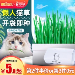 懒人猫草已种好种子盆栽水培化毛球片猫薄荷猫草罐头猫咪零食用品