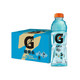 佳得乐 GATORADE 蓝莓味 功能运动饮料整箱 600ml*15瓶 跑步健身 百事出品 *4件