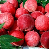 万荣苹果  水蜜桃毛桃  单果220g以上  共5斤