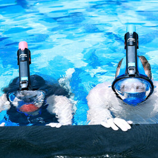 李宁（LI-NING）浮潜面罩全干式呼吸管器潜水镜儿童成人浮潜三宝套装游泳装备 黑蓝S/M