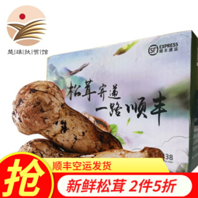 【楚雄扶贫馆】云南野生新鲜松茸香格里拉新鲜松茸2020年新货山珍顺丰空运破损包赔 【250克】3-5cm