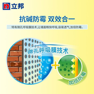 立邦漆乳胶漆 内墙环保油漆涂料白色墙面漆净味120二合一 18L+滚筒+毛刷套装