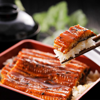 九里京 日式蒲烧鳗鱼熟食海鲜寿司材料生鲜日料理烤鳗鱼饭加热即食335G