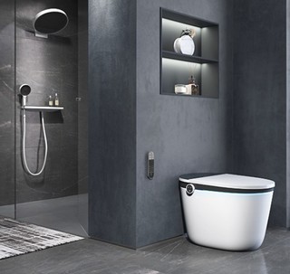 hansgrohe 汉斯格雅 纯境系列 22402007 智能坐便器 305mm坑距