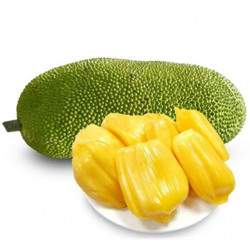 海南菠萝蜜 20-26斤