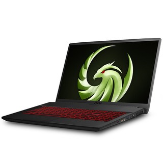 MSI 微星 勇者 Bravo17 17.3英寸游戏本（R7-4800H、16GB、512GB、RX5500M、120Hz）