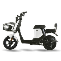 SUNRA 新日 XC2 4812 电动车 48V12AH锂电池 流云白