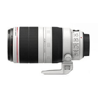 佳能100-400二代镜头 EF 100-400mm f4.5-5.6L IS II USM全新正品