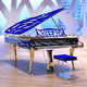 Bluthner 博兰斯勒 Crystal HIVE/190cm德国原装进口高端定制水晶钢琴