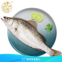 十六铺 速冻白蕉海鲈鱼500-600g/条 整鱼袋装肉多刺少 珠海地标产品CMA认证 海鲜水产