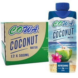 COWA 清甜椰子水 500ml*12瓶*2件+乐昂泡泡 椰奶1L