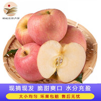 红富士苹果 现摘现发 脆甜多汁 新鲜水果 带箱9.5-10斤(约24枚75-80mm/个)