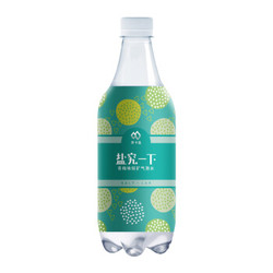 延中 盐究一下 青梅味 茶卡盐轻矿气泡水 470ml *15瓶 *4件