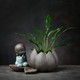 京东PLUS会员：燚窑 绿萝水培植物花瓶 坐莲-轻语小僧 +凑单品