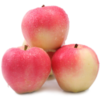 山西嘎啦苹果2.5斤（偶数件发货） 果径65mm以上 新鲜现摘当季水果苹果脆甜