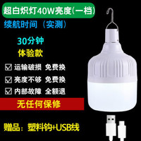 充电式LED灯泡移动户外超30w