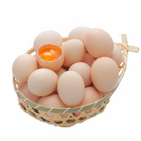 京东PLUS会员： 静益乐源 山林散养土鸡蛋 10枚 *4件