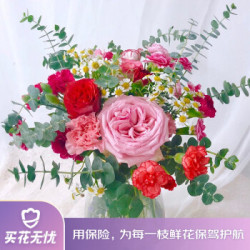 省45元 教师节鲜花送给敬爱的人致敬老师向日葵康乃馨洋甘菊尤加利带鲜花保鲜液知遇而恩教师节花束 2件多少钱 什么值得买