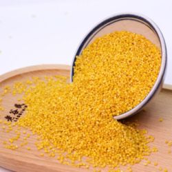 新米黄小米陕北米脂农家月子米5斤2斤小米粥五谷杂粮宝宝米小黄米炇多