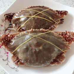 新鲜活冻梭子蟹母蟹 4斤（一斤2-4只）