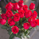 单色玫瑰花鲜花 花束10支+送10支防损耗