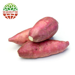 犁楚（Lichu）新鲜红薯5斤装 山东山地蜜薯烟薯25号甜蜜红薯地瓜糖心蜜薯 烤薯