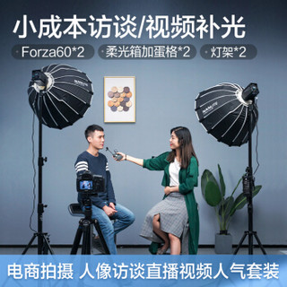 Nanlite 南光 forza 60w摄影灯便携外拍常亮led补光灯直播短视频拍摄灯 套餐A Forza 60W标配