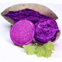 紫薯新鲜10斤蜜甜薯山东农家板栗香红沙土地瓜糖心蔬菜山芋小番薯