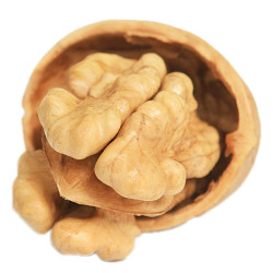 金品成 新疆薄皮核桃 500g