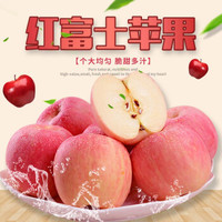 烟台栖霞正宗红富士苹果-中果带箱9.5-10斤