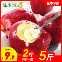 甘肃天水花牛苹果2.5斤 单果70-75mm 红苹果 新鲜水果 生鲜水果 陈小四水果 其他