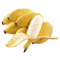 薯家上品 广西小米蕉2.5斤（偶数件发货） 新鲜现摘香蕉非芭蕉当季应季水果