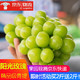 京东PLUS会员:阳光玫瑰葡萄/提子 日本品种香印青提  净重2斤 *2件