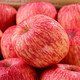  烟台红富士苹果 中果 带箱9.5-10斤　