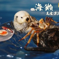 自然野趣—《海獭的美食漂流》 仿真动物手办