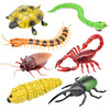 抖音电动遥控昆虫蟑螂小蜜蜂蜘蛛遥控蛇玩具小动物瓢虫蝎子毛毛虫