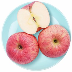SHUNONGLIAN/蔬农联 红富士苹果 2.5kg *2件