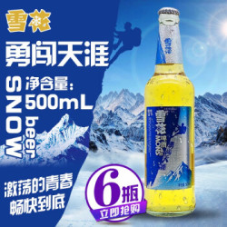 snow雪花啤酒勇闯天涯superx玻璃瓶整箱勇闯天涯500ml6瓶4件