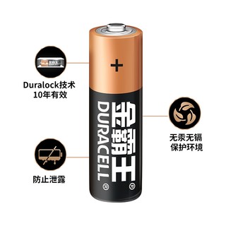 DURACELL 金霸王 5号 / 7号 碱性电池 12粒