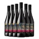 圣丽塔 国家画廊系列珍藏黑皮诺干红葡萄酒 750ml*6瓶 整箱装 智利进口红酒